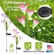 Edge Collections – Solar Garden Lily Flower LED Pathway Stake Lights with 7-Color Changing (IP65) – 2 Pieces
